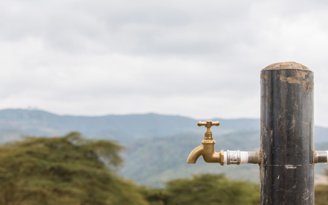 Carbon Credits: An Innovative Solution