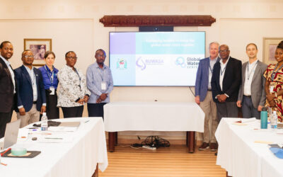 Partnership Aims to Improve Safe Water Access Across Tanzania
